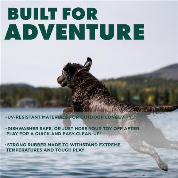 Squeaky Boomerang, Orange Tough, Engaging, & Interactive - Picture 9 of 9